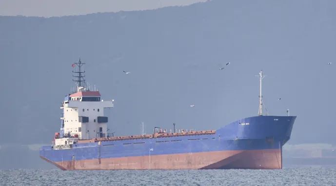 АРМА знайшло покупця на судно, яке возило крадене зерно з Криму