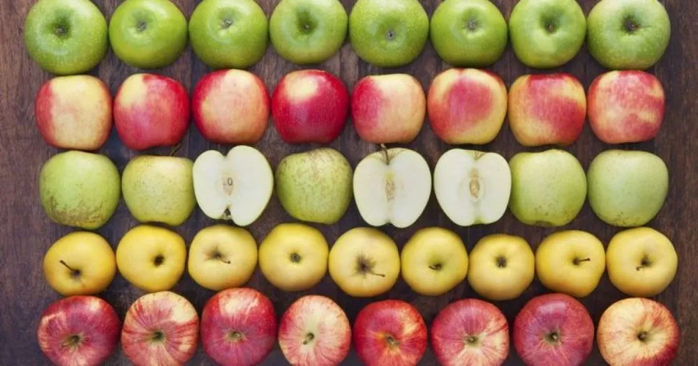 Які сорти яблук обирають українські споживачі