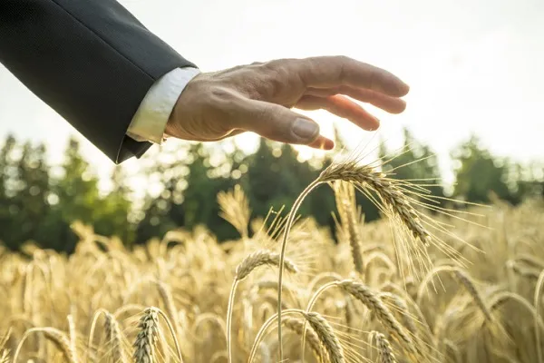 Уряд запускає державну підтримку страхування агропродукції