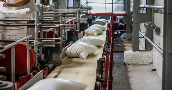 На Вінниччині триває виробничий сезон на цукрових заводах