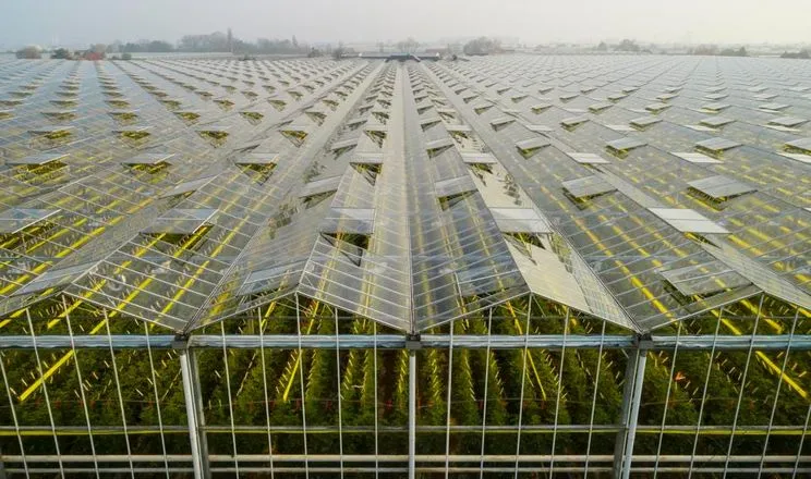На Вінниччині завдяки держгрантам збудували теплиці на 13,3 га