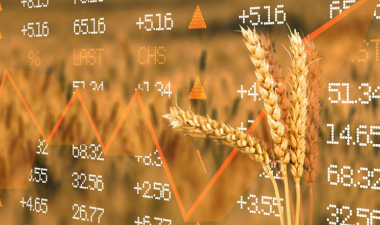 Озвучено оновлені ціни на зернові в Україні
