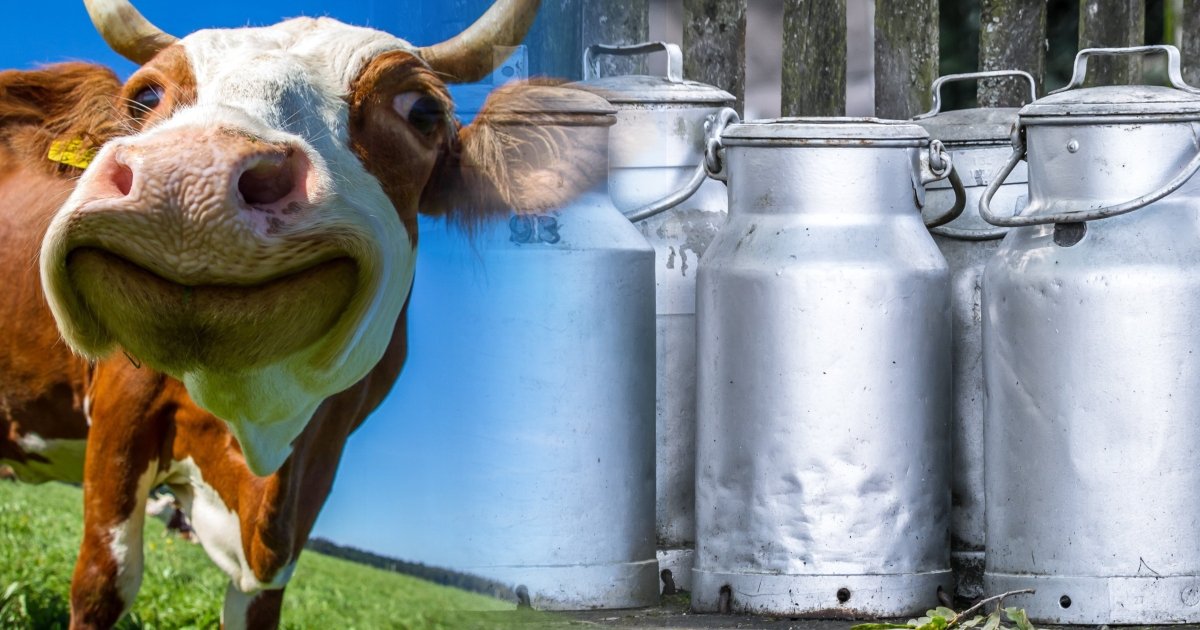 Молочна галузь шукає вихід із кризи на тлі слабкого попиту та імпорту