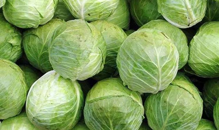 Озвучено оновлені ціни на капусту в Україні