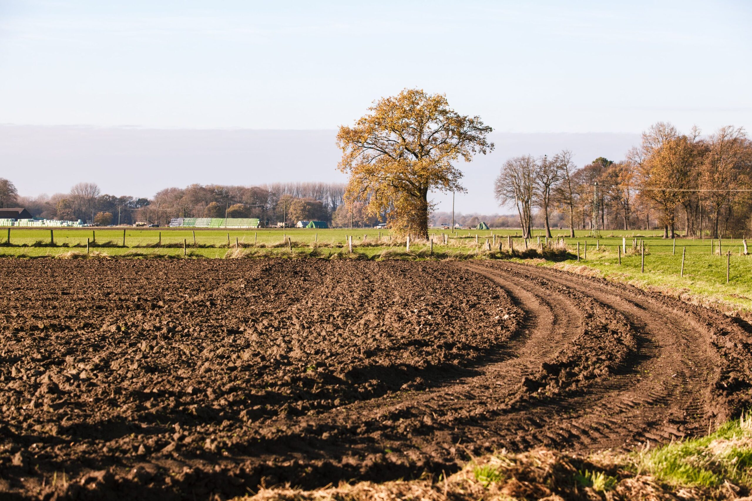 Арешт земельної ділянки: коли можливий і як оскаржити