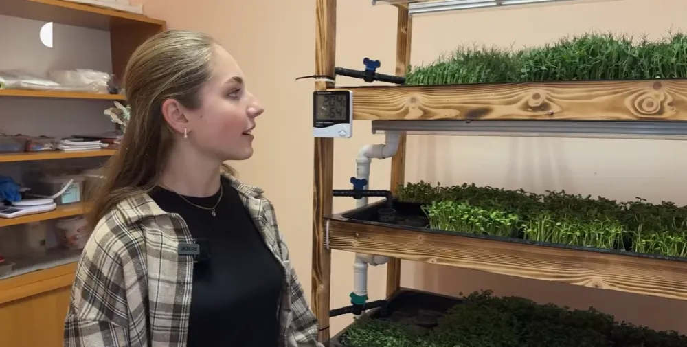 На Хмельниччині ліцеїсти вирощують мікрозелень