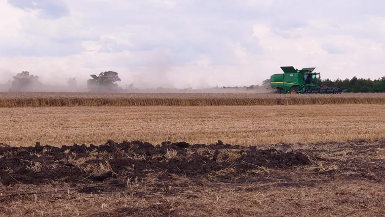 За 2025 р аграрії Херсонщини втратили майже 60 тис га посівів