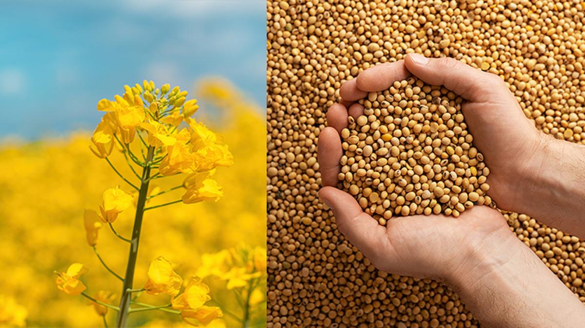 Україна поступово відходить від сировинної моделі завдяки розвитку агропереробки