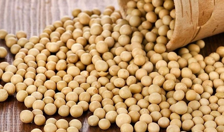 Китай збільшує партії закупівель сої зі США