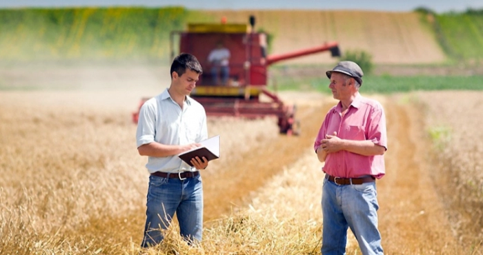 В Україні 240 тисяч фермерів отримають підтримку від міжнародних партнерів