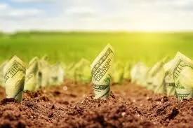 Середня вартість оренди державної землі становила 17 тис грн/га