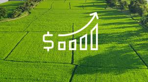 В Україні прогнозують подорожчання землі