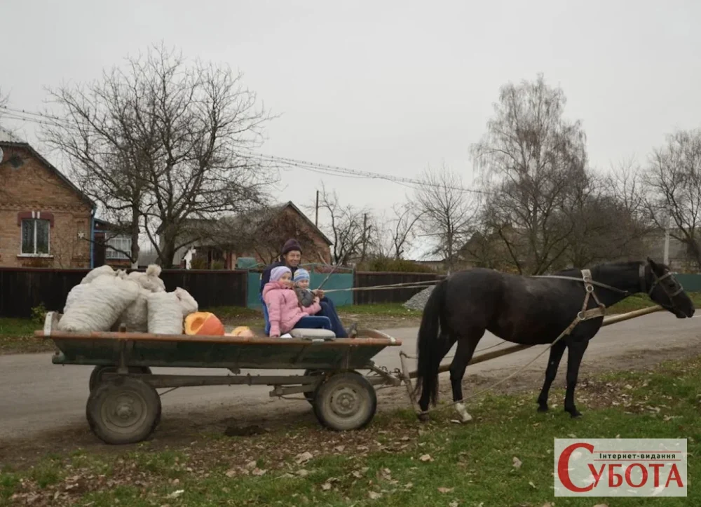 Міські жителі масово перебираються в села: що стоїть за новою хвилею переїздів