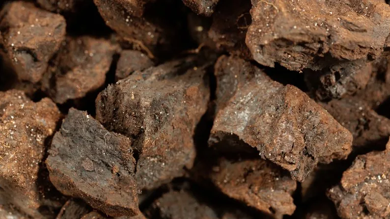 Україна виставила на аукціон родовище на Кіровоградщині